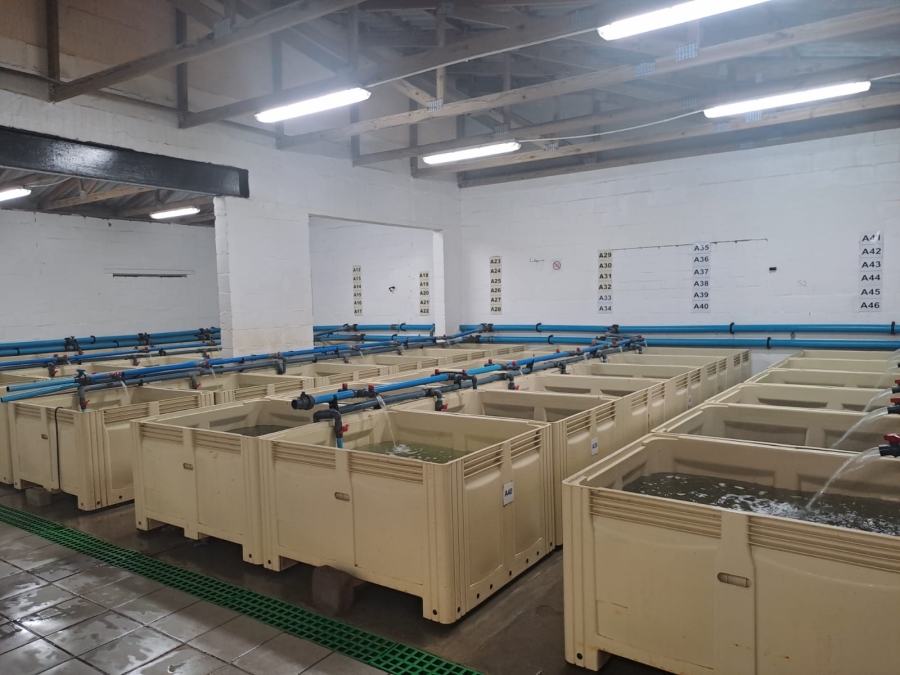 Commercial Property for Sale in Kleinmond Western Cape